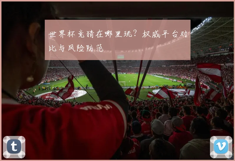 世界杯竞猜在哪里玩?权威平台对比与风险防范
