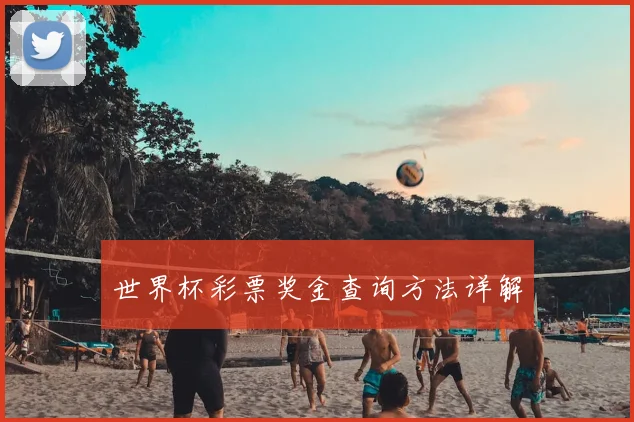 世界杯彩票奖金查询方法详解