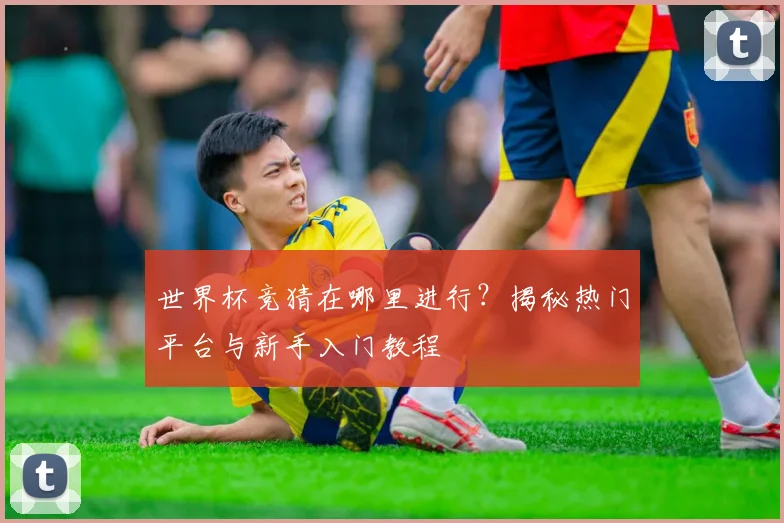 世界杯竞猜在哪里进行？揭秘热门平台与新手入门教程