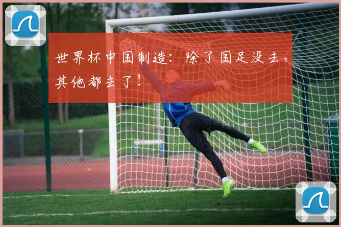 世界杯中国制造：除了国足没去，其他都去了！