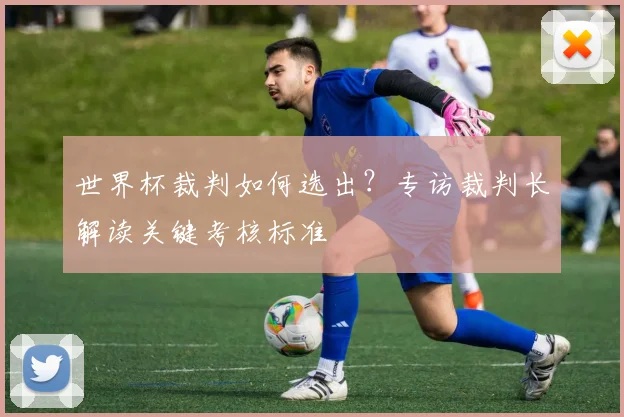世界杯裁判如何选出?专访裁判长解读关键考核标准