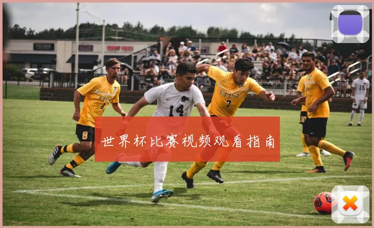 世界杯比赛视频观看指南