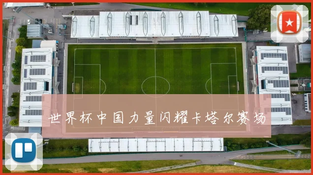世界杯中国力量闪耀卡塔尔赛场