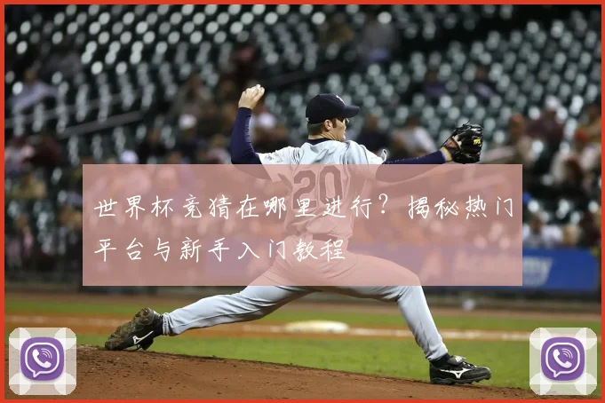 世界杯竞猜在哪里进行？揭秘热门平台与新手入门教程
