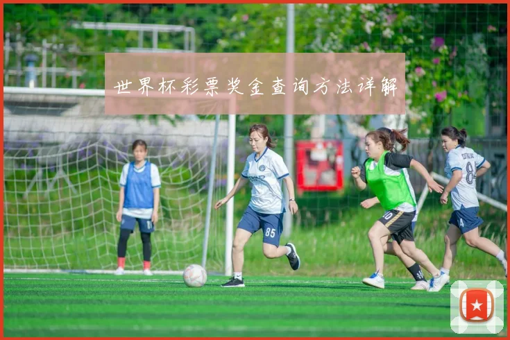 世界杯彩票奖金查询方法详解