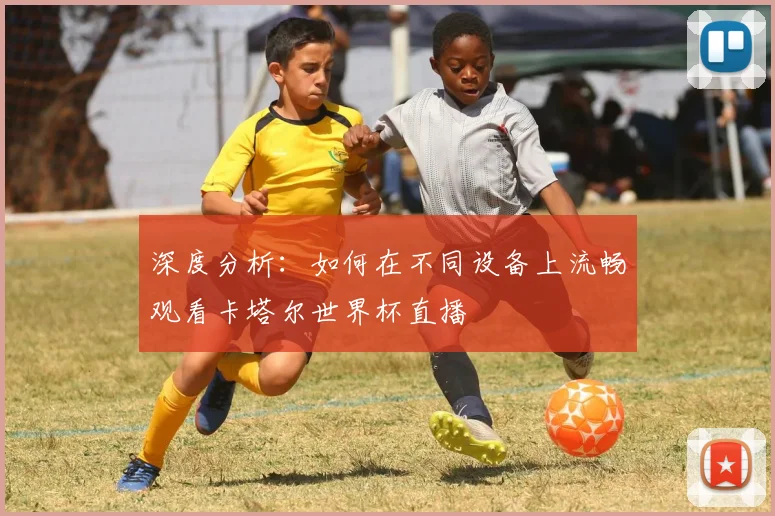 深度分析:如何在不同设备上流畅观看卡塔尔世界杯直播