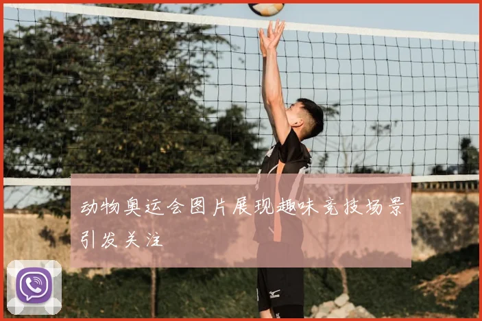 动物奥运会图片展现趣味竞技场景引发关注